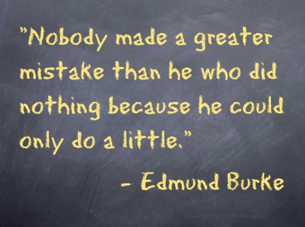 "Nobody made a greater mistake than he who did nothing because he could only do a little." -Edmund Burke